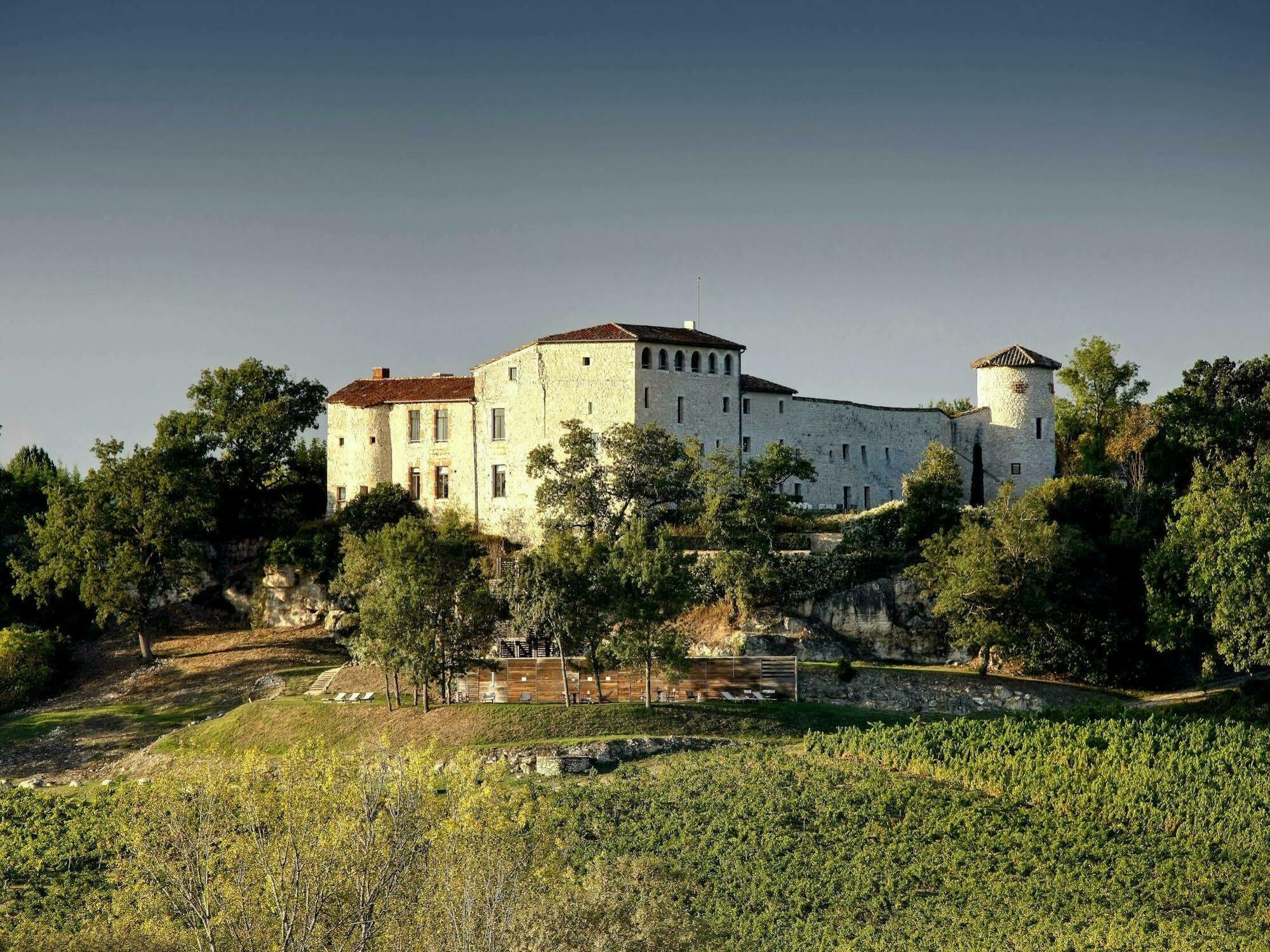 Chateau De Salettes Hotel Cahuzac-sur-Vère Buitenkant foto